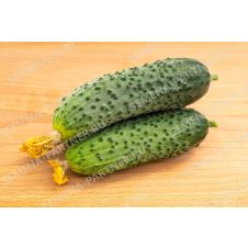 Огурец Герман F1 Партнер