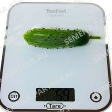 Огурец Ласточка F1 Партнер