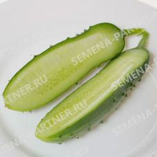 Огурец Ласточка F1 Партнер