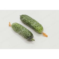 Огурец Паратунка F1 Партнер