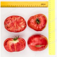 Томат Гордость Застолья F1, 10 шт