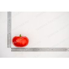 Томат Деревенский F1, 10 шт