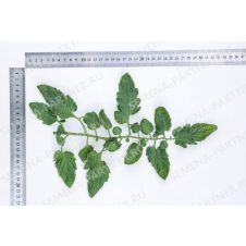 Томат Лимеренс F1, 0,1 гр.