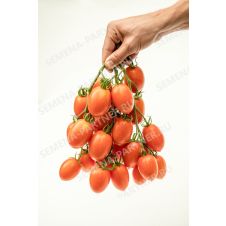 Томат Пламя F1, 0,1 гр.