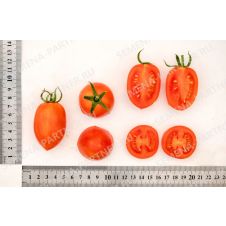 Томат Пламя F1, 0,1 гр.