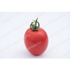 Томат Покрасневшая Невеста F1, 10 шт