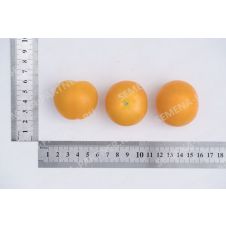 Томат черри Златояр F1, 5 шт