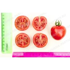 Томат черри Кокта F1, 5 шт