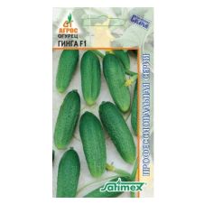 Огурец Гинга F1 Агрос