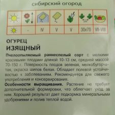 Огурец Изящный Агрос