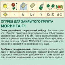 Огурец Моринга F1 Агрос