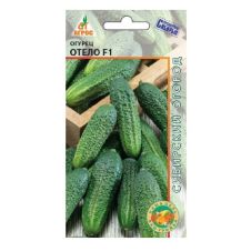Огурец Отело F1 Агрос