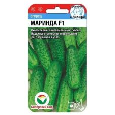 Огурец Маринда F1 Сибирский сад