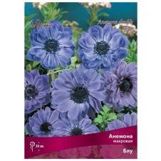 Анемона махровая Блу 10 шт ПОИСК