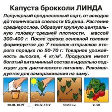 Капуста брокколи Линда 0,3 г Аэлита