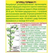Огурец Герман F1 Аэлита