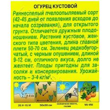 Огурец Кустовой Аэлита