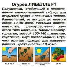 Огурец Либелле F1 Аэлита