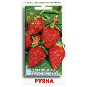 Земляника ремонтантная Руяна 100 шт. Агрофирма ПОИСК