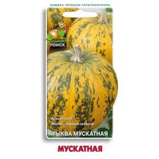 Тыква Мускатная 10 шт Поиск