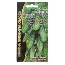 Огурец Сибирская гирлянда F1 Уральский Дачник