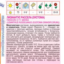 Лизиантус Рассела Пиколо F1 Милка, 5 шт Агрос
