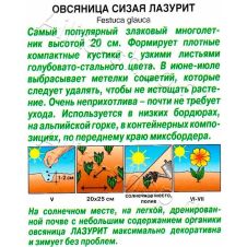 Овсяница сизая Лазурит 5 шт Аэлита