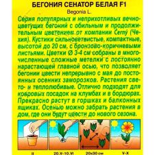 Бегония вечноцветущая Сенатор белая F1, 10 шт Аэлита
