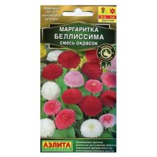 Маргаритка Беллиссима, смесь окрасок 7 шт Аэлита