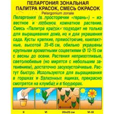 Пеларгония Палитра красок, смесь окрасок 10 шт. Аэлита