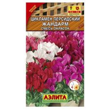 Цикламен персидский Жандарм 3 шт. Аэлита