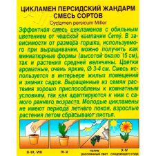 Цикламен персидский Жандарм 3 шт. Аэлита