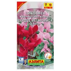 Цикламен персидский Сердце мегаполиса 5 шт. Аэлита