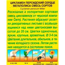 Цикламен персидский Сердце мегаполиса 5 шт. Аэлита