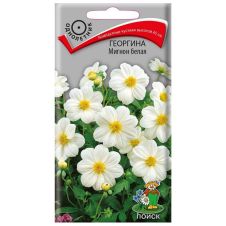 Георгина Мигнон белая 0,2 г ПОИСК