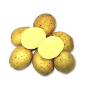 Картофель Кемеровчанин, суперэлита, 2,5 кг