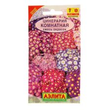 Цинерария смесь окрасок 30 шт Аэлита