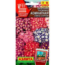 Цинерария смесь окрасок 30 шт Аэлита
