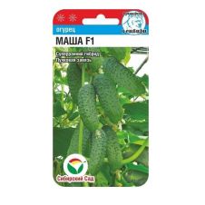Огурец Маша F1 Сибирский сад