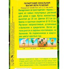 Пеларгония Магия лета F2 белая 5 шт Аэлита