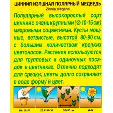 Цинния изящная Полярный медведь, 0,3 г Аэлита