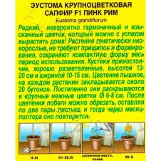 Эустома Сапфир F1 пинк рим, крупноцветковая 5 шт Аэлита