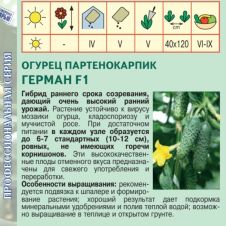 Огурец Герман F1 Агрос
