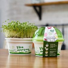 Набор для выращивания «Моя микрозелень БРЮКВА»