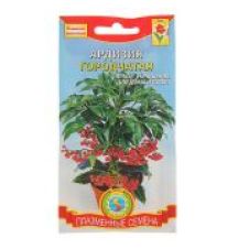 Ардизия городчатая 3шт