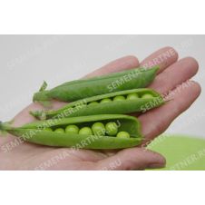 Партнер Горох овощной ПРЕМИУМ (25шт.)