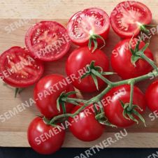 Томат МАСКОТТА F1 0,05 г Партнер