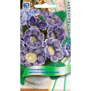 Глоксиния Импресс Синие чернила 5 шт ПОИСК