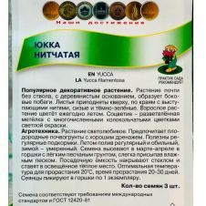 Юкка нитчатая 3 шт Поиск