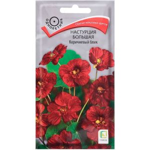 Настурция большая Коричневый блик 1 г ПОИСК